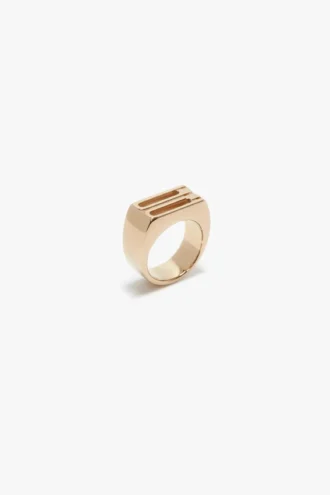 Dorian Siegelring in Gold Dorian Siegelring in Gold